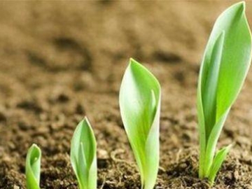 新型有机肥生产线：生产能力大、适用范围大、运行平稳！
