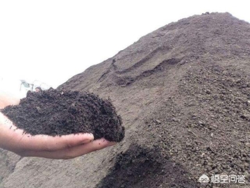 投资有机肥生产线的前景如何？