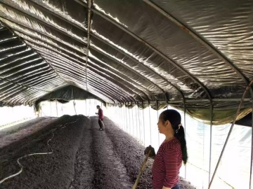 羊粪如何发酵做有机肥?小型羊粪颗粒有机肥成套设备有哪些？