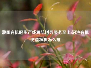  秸秆变废为宝：有机肥生产的绿色革命