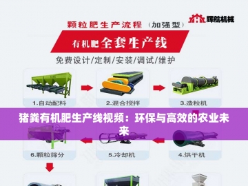 有机肥生产整套设备：绿色循环的驱动力